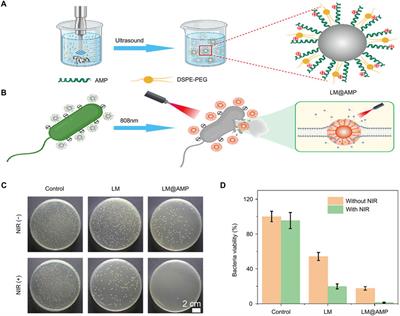 Biomaterials-based phototherapy for bacterial infections